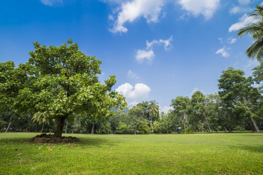 דמבולה Mps Village מראה חיצוני תמונה